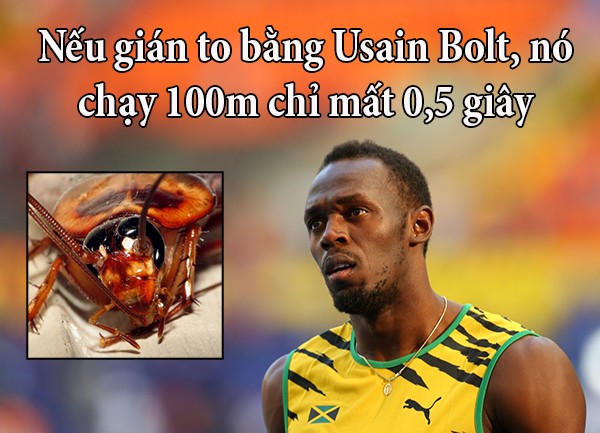 funfact về con người